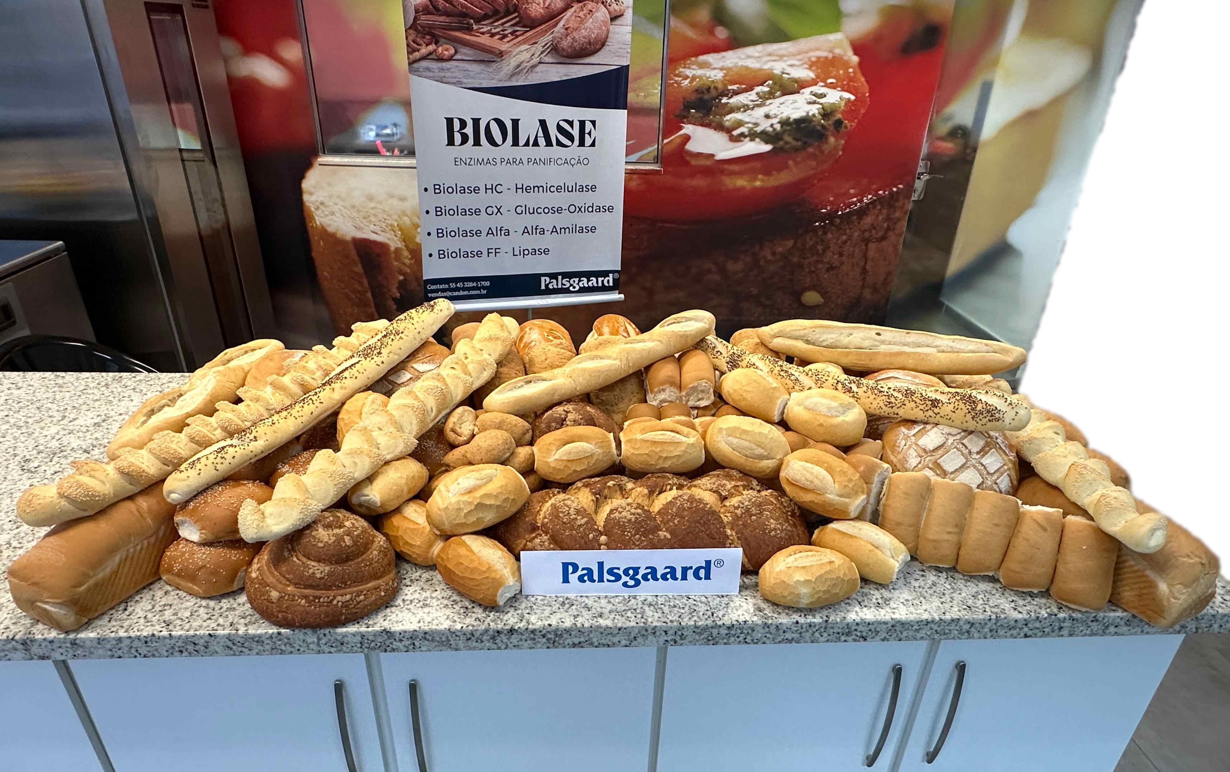 Treinamento Palsgaard: Panificação
